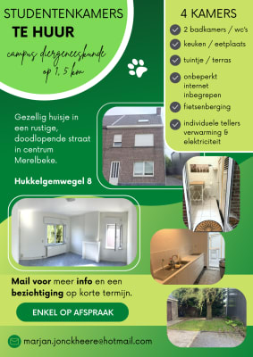 Sala Lichte, ruime kamers in rustige straat dicht bij campus Diergeneeskunde. imagem 34