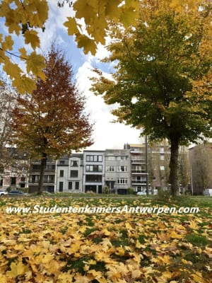Sala Grote studentenkamers te huur vanaf 3 maanden imagem 7