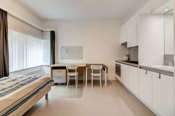 Kamer Gerenoveerde, trendy studentenkamer met eigen keukentje op toplocatie foto 2