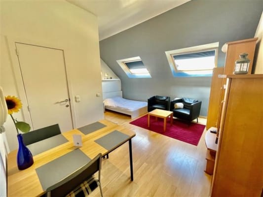 Estudio Furnished Studio --> Stevinstraat - 1000 Bruxelles imagen 7