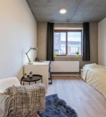 Chambre Xior Kot te Huur (onderverhuur) image 2