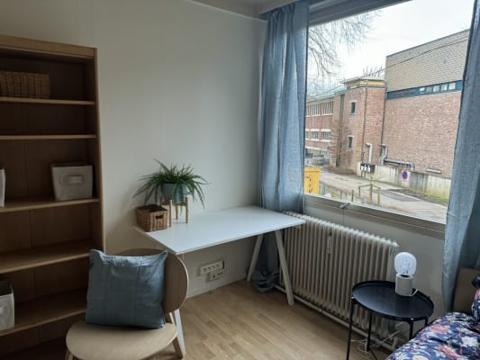 Room Gezellige studentenkamer in het groen image 6