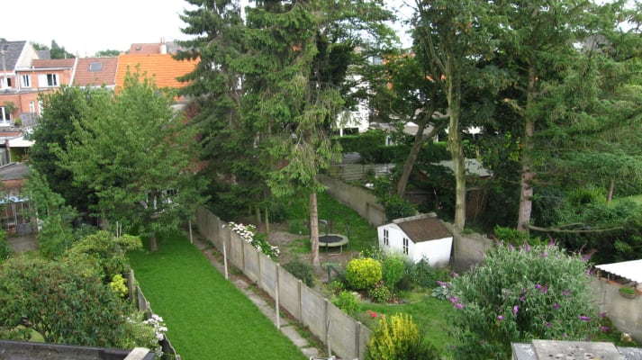 Room Mansion in green location close to Campus Drie Eiken and Groenenborg image 6