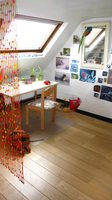 Kamer Mansion in green location close to Campus Drie Eiken and Groenenborg foto 5