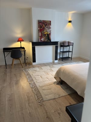 Kamer DELUX KAMER MET WERKPLEK foto 6