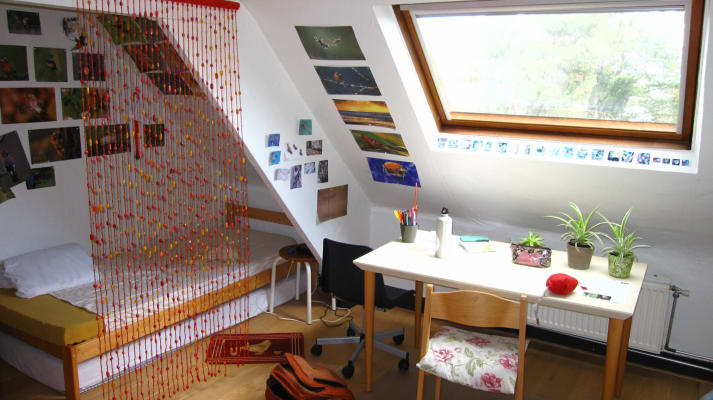 Sala Gezellige kamers nabij Drie Eiken imagem 9