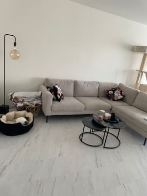 Appartement KOT te huur tweede semester academiejaar 2023-2024 foto 9