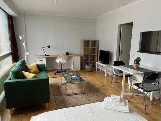 Studio Studio entièrement meublé de 25 m² du centre de Bruxelles image 2