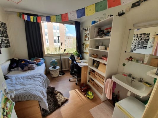 Sala Basiskamer in residentie Thomas Morus imagem 6