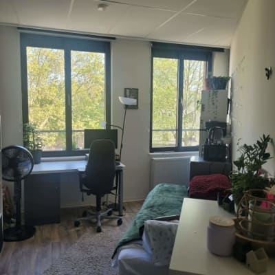 Sala Kot in centrum Antwerpen te huur voor zomermaanden: JUNI/JULI/AUGUSTUS  imagem 1