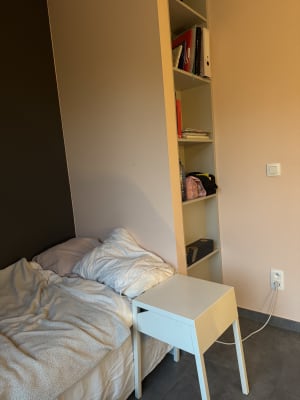 Kamer Kot Leuven  foto 2