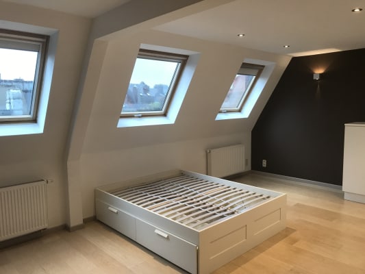Kamer Prachtige kamer met 3 grote, uitklapbare velux-ramen foto 9