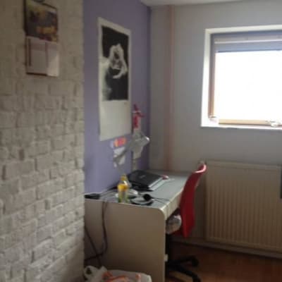Kamer Andreas Vesaliusstraat 56 foto 1