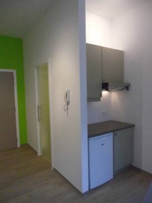 Kamer Een aangenaam kot in Antwerpen van 22m² aan € 495 per maand foto 3
