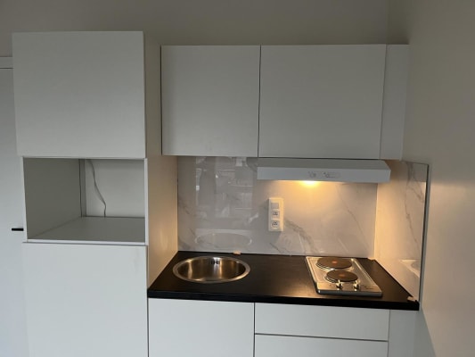 Room Pas gerenoveerde studio met terras te huur image 1