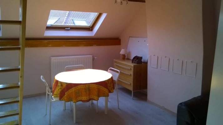 Appartement Studio avec mezzanine et chambre  image 1