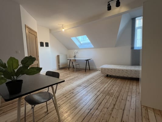 Kamer Parkstraat 235 foto 5