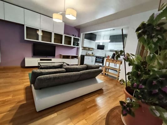 House Colocation - Forest image 4