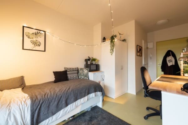 Sala Xior Overwale (Schoonmeersen) imagem 2