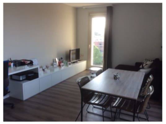 Oda Andreas Vesaliusstraat 45C resim 1