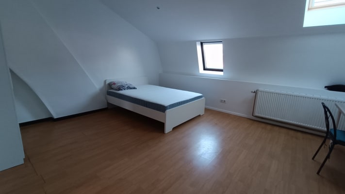 Huis ⚠️COLOCATION de 200 m² entièrement rénovée avec jardin foto 5