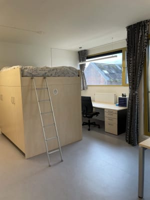 Estúdio 🎓 Studio te huur – Antwerpen (Paardenmarkt- Stijfselrui) imagem 5