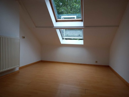 Studio Location Kot Bild 1