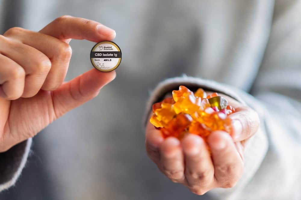 A person holds up their homemade CBD gummies and a container of CBD isolate powder