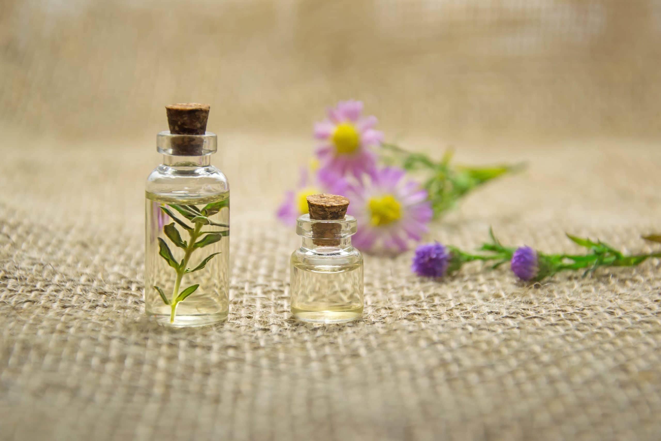 Bottled plant extracts and terpene tinctures