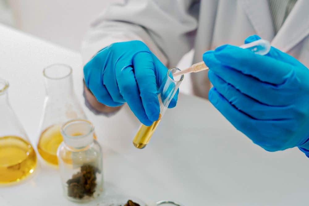 What is delta 8 THC?