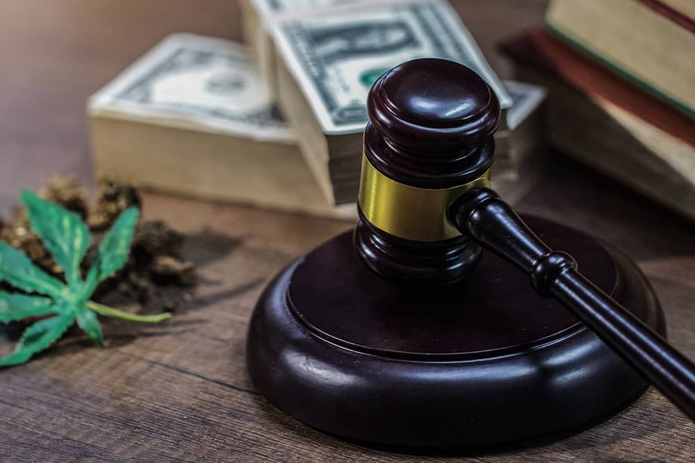 A judge's gavel next to cannabis leaves, signifying legislation surrounding the federal legalization of weed.