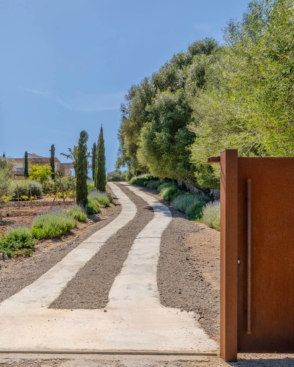 Die Auffahrt vom Tor, zwischen Zypressen und dem terrassierten Gelände, Finca Sant Llorenç