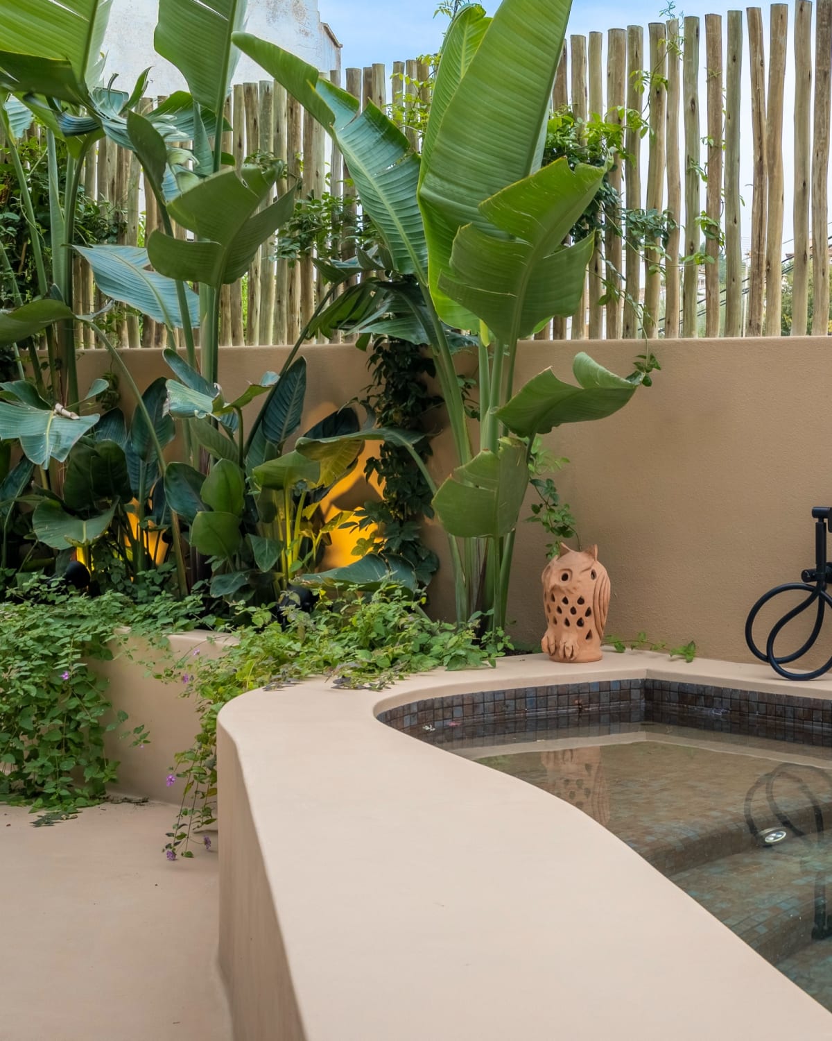 Der Pool zwischen den Pflanzen der Terrasse, Fuster 8
