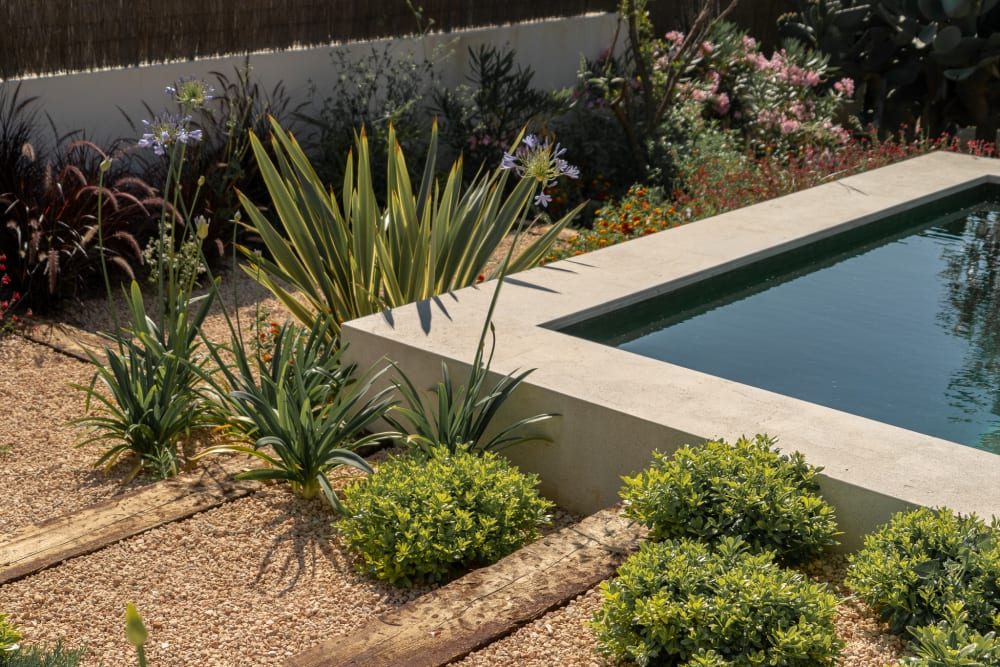 Gartendetail mit mediterraner Bepflanzung