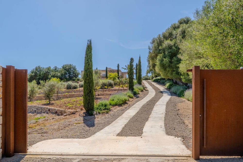 Die Auffahrt vom Tor, zwischen Zypressen und dem terrassierten Gelände, Finca Sant Llorenç