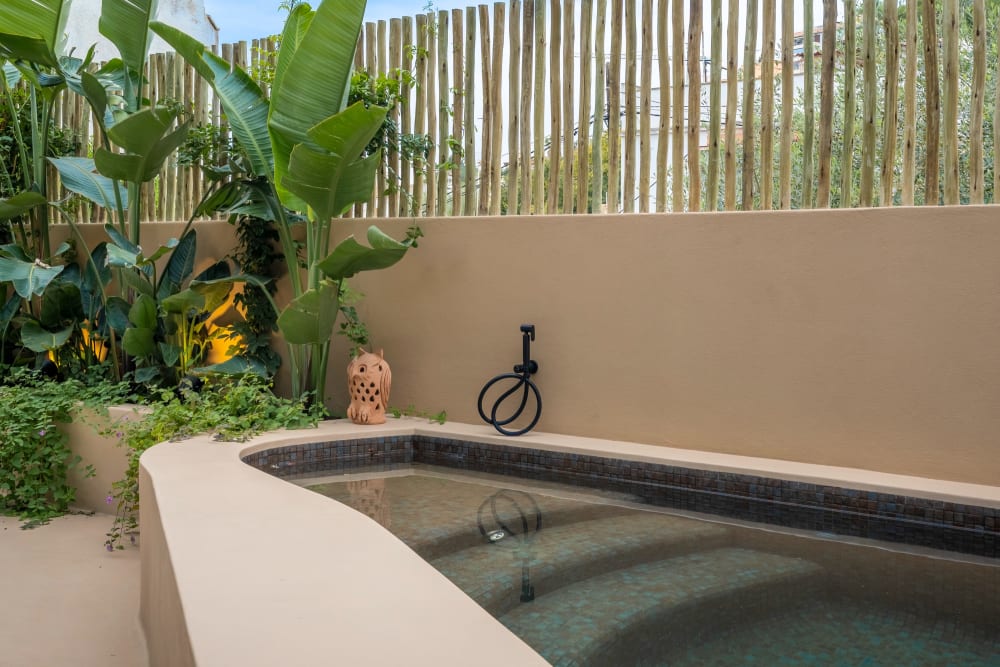 Der Pool zwischen den Pflanzen der Terrasse, Fuster 8