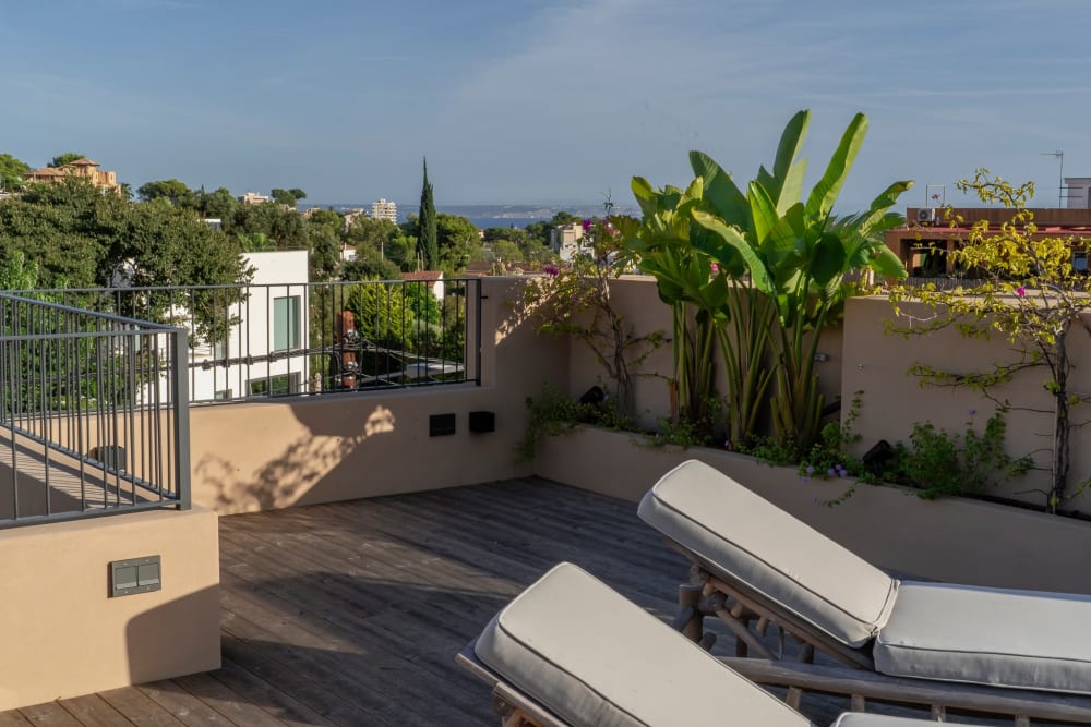 solarium, Fuster 8