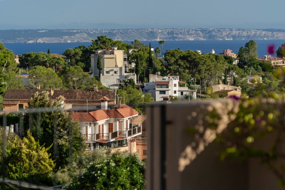 terrace view, Fuster 8