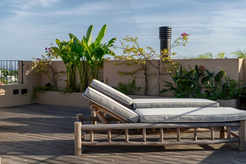 solarium, Fuster 8