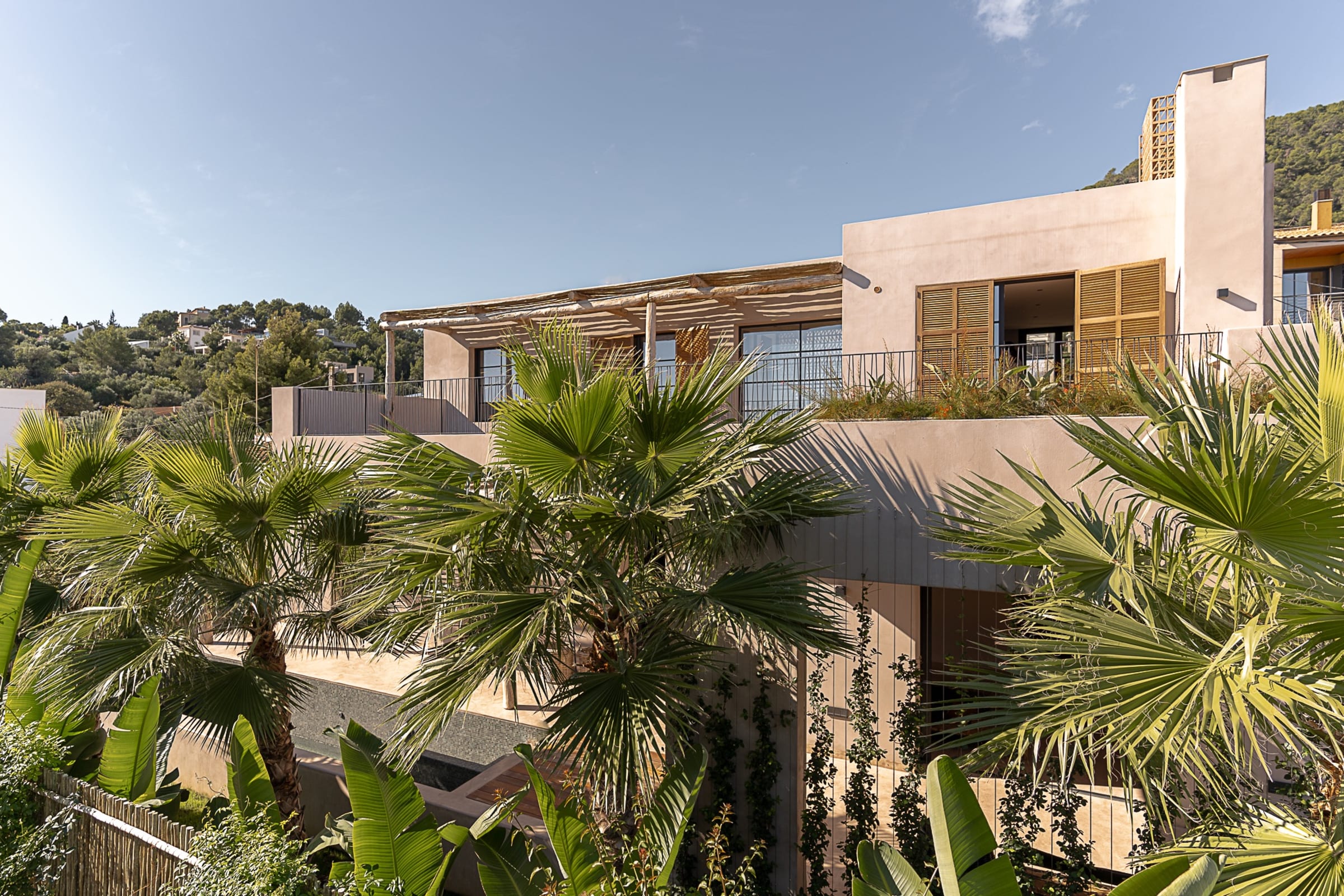 The house among palms, with a cane pergola and the hill behind, Falco 13
