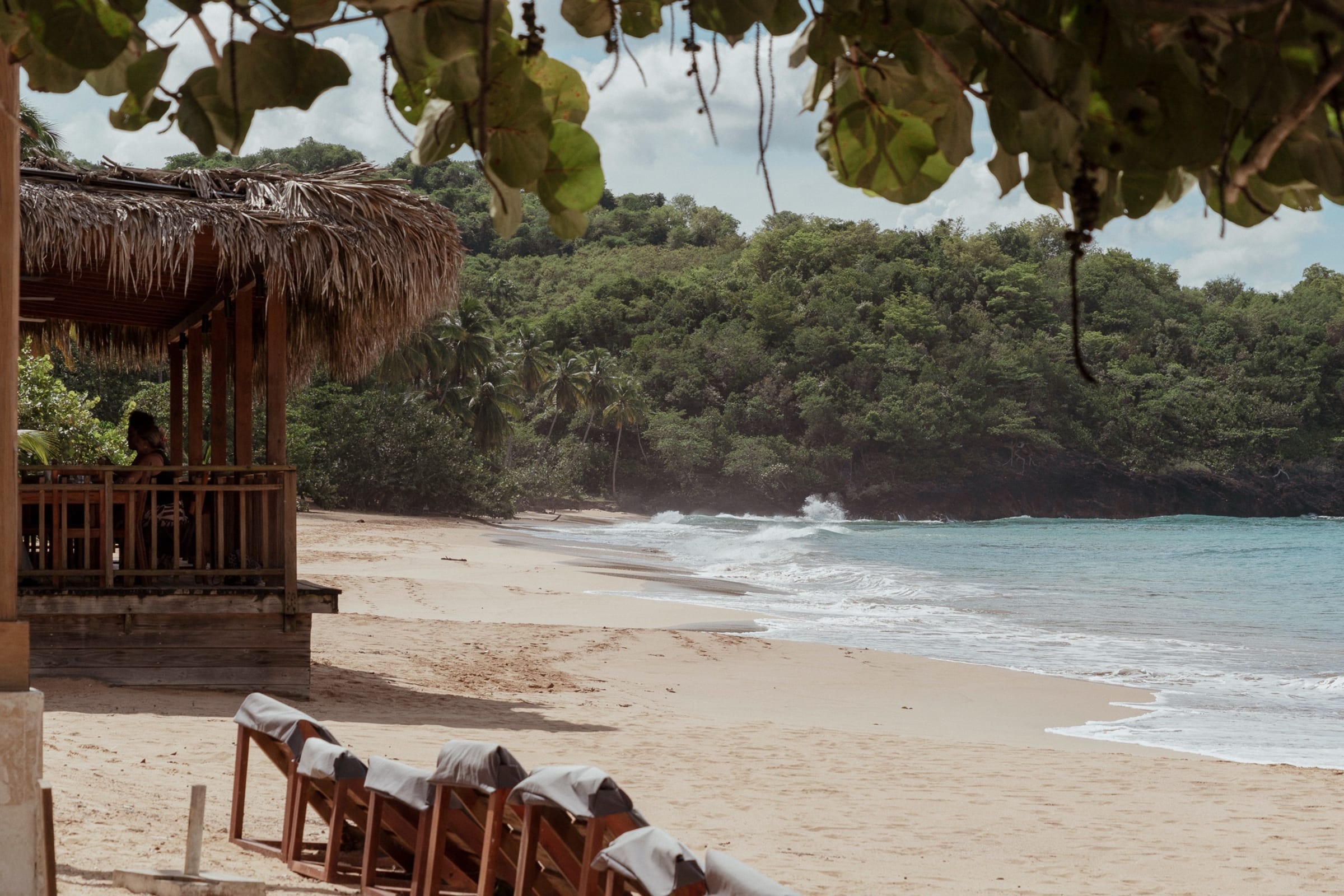 A beach on the Samaná peninsula: a palm-thatched bar, loungers on the sand and the forest down to the sea, Samaná Loft Villa