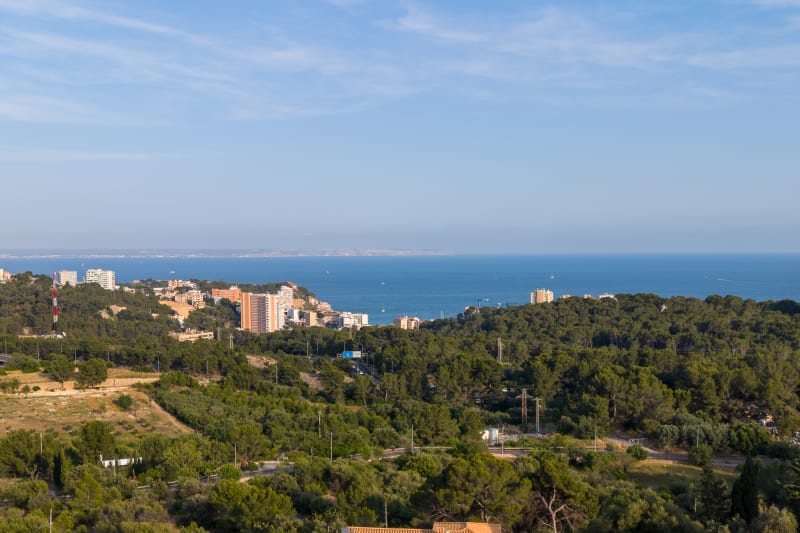 Sea view from the house