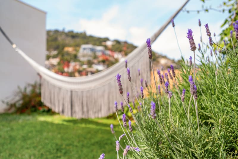 Terrace detail with hammock