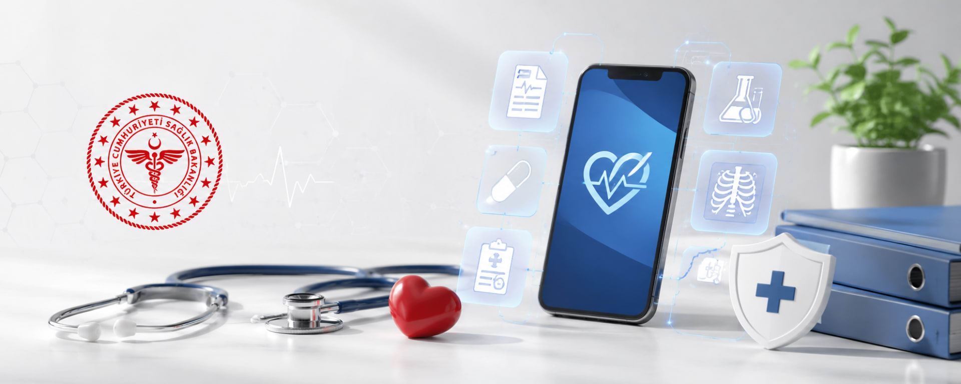 e-Nabız Personal Health Record via e-Devlet (Turkey)