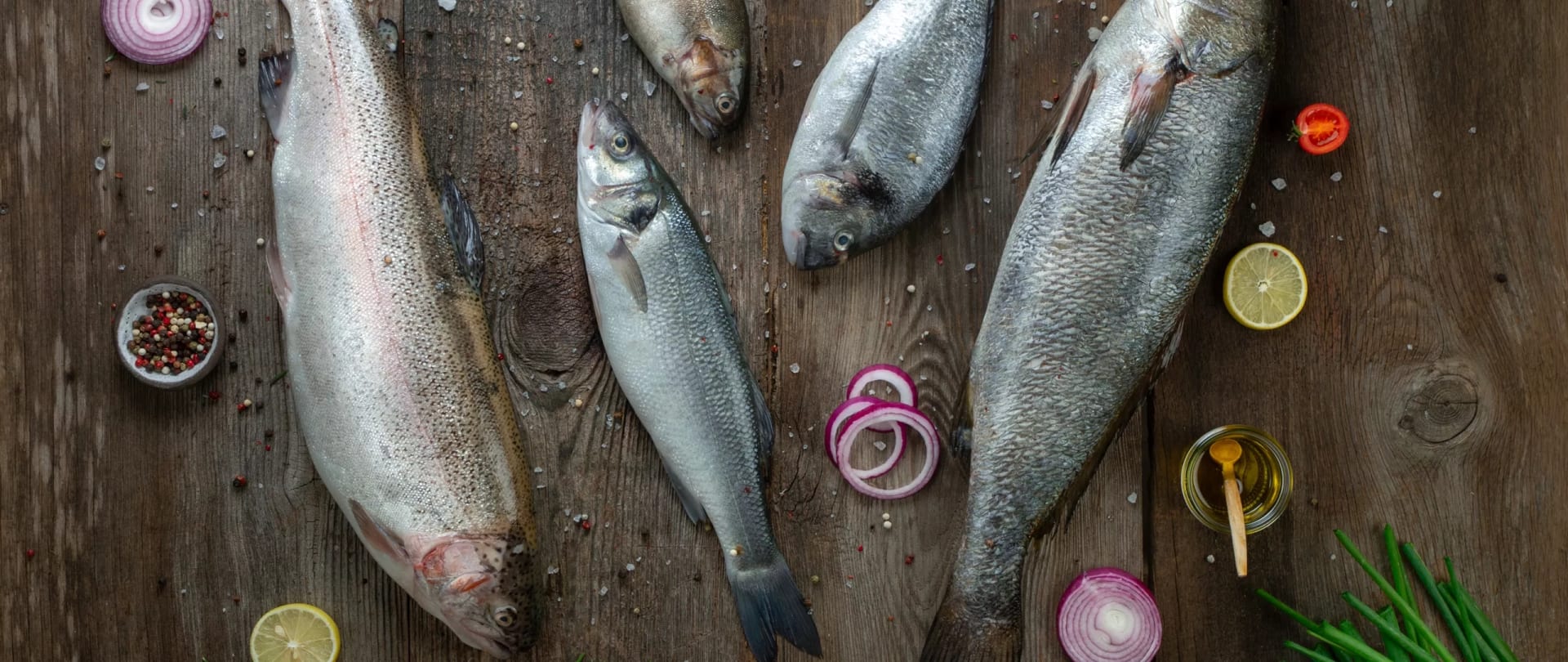 Kılıç — Sea Bream, Sea Bass & Salmon