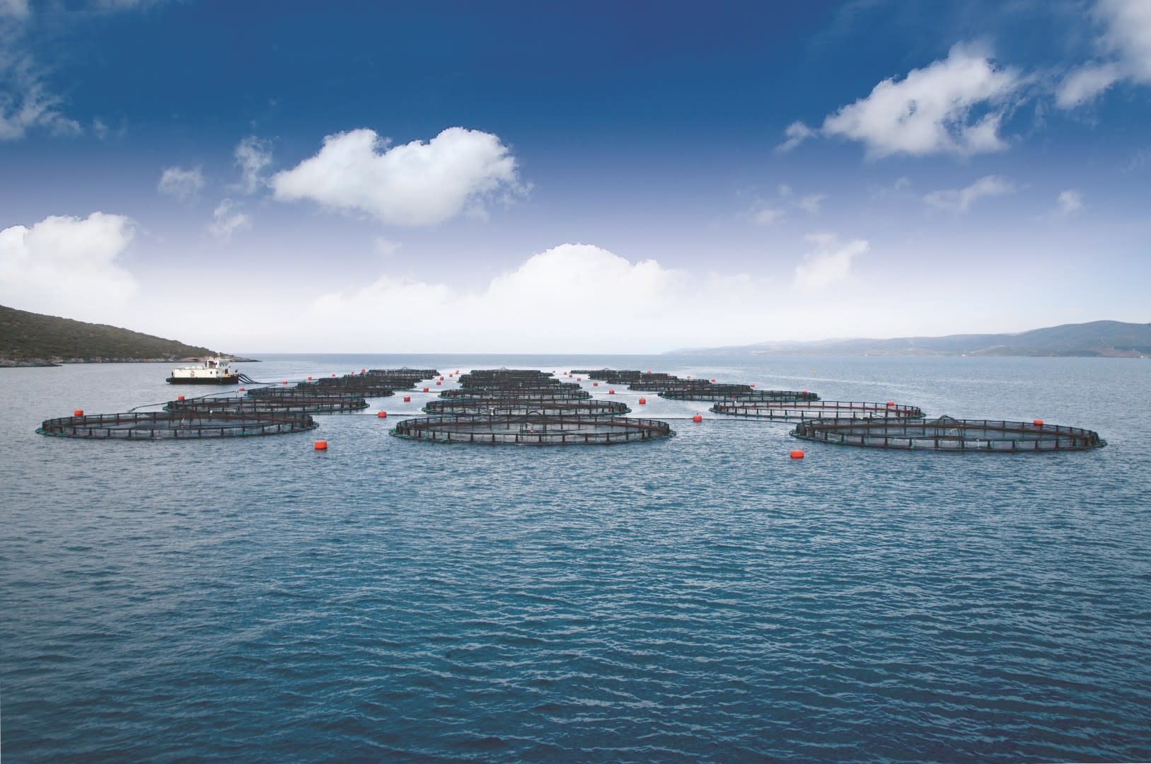 Sagun — Seafood & Aquaculture Producer