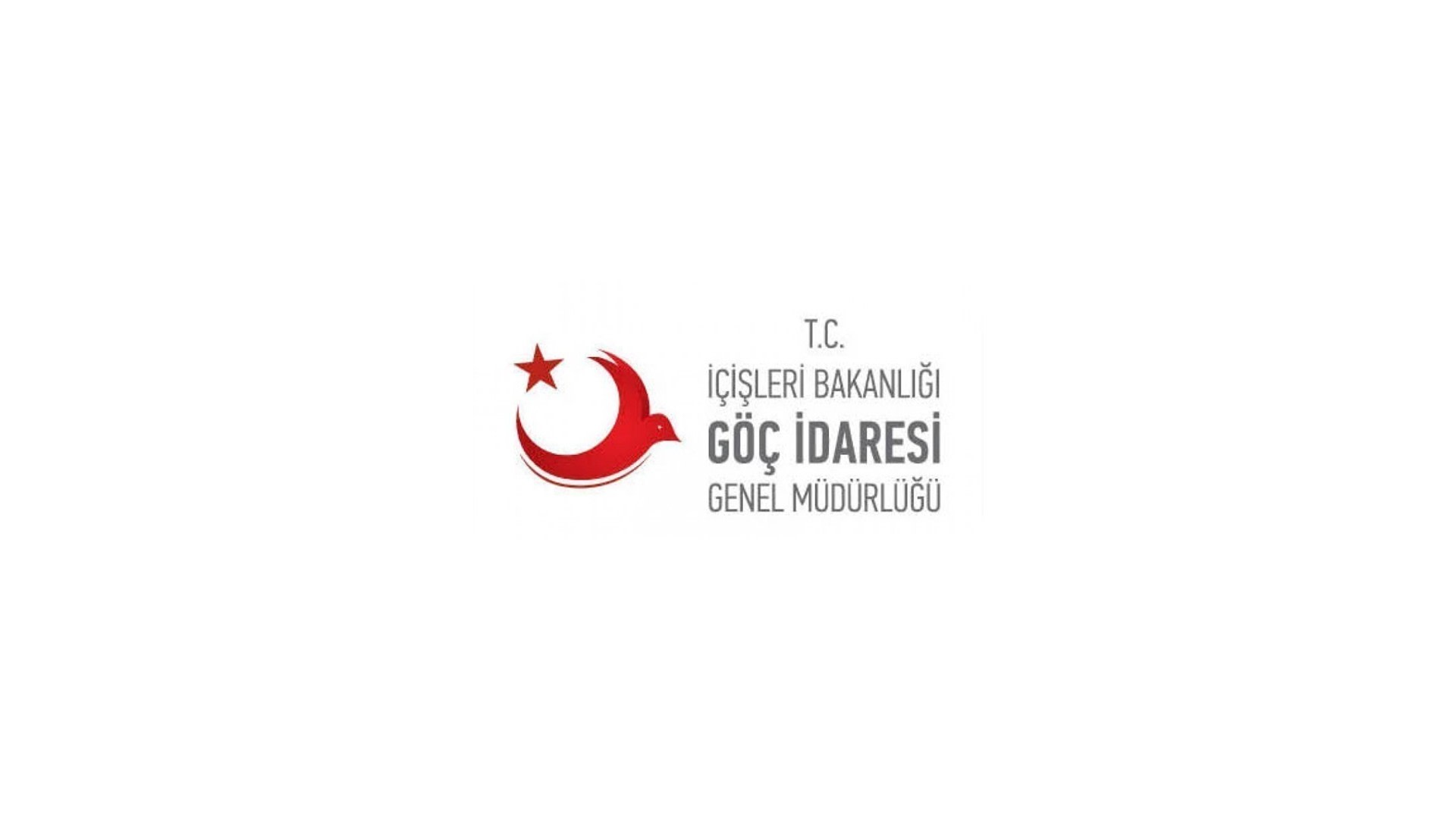 Single-Status Certificate via e-Devlet (Turkey)