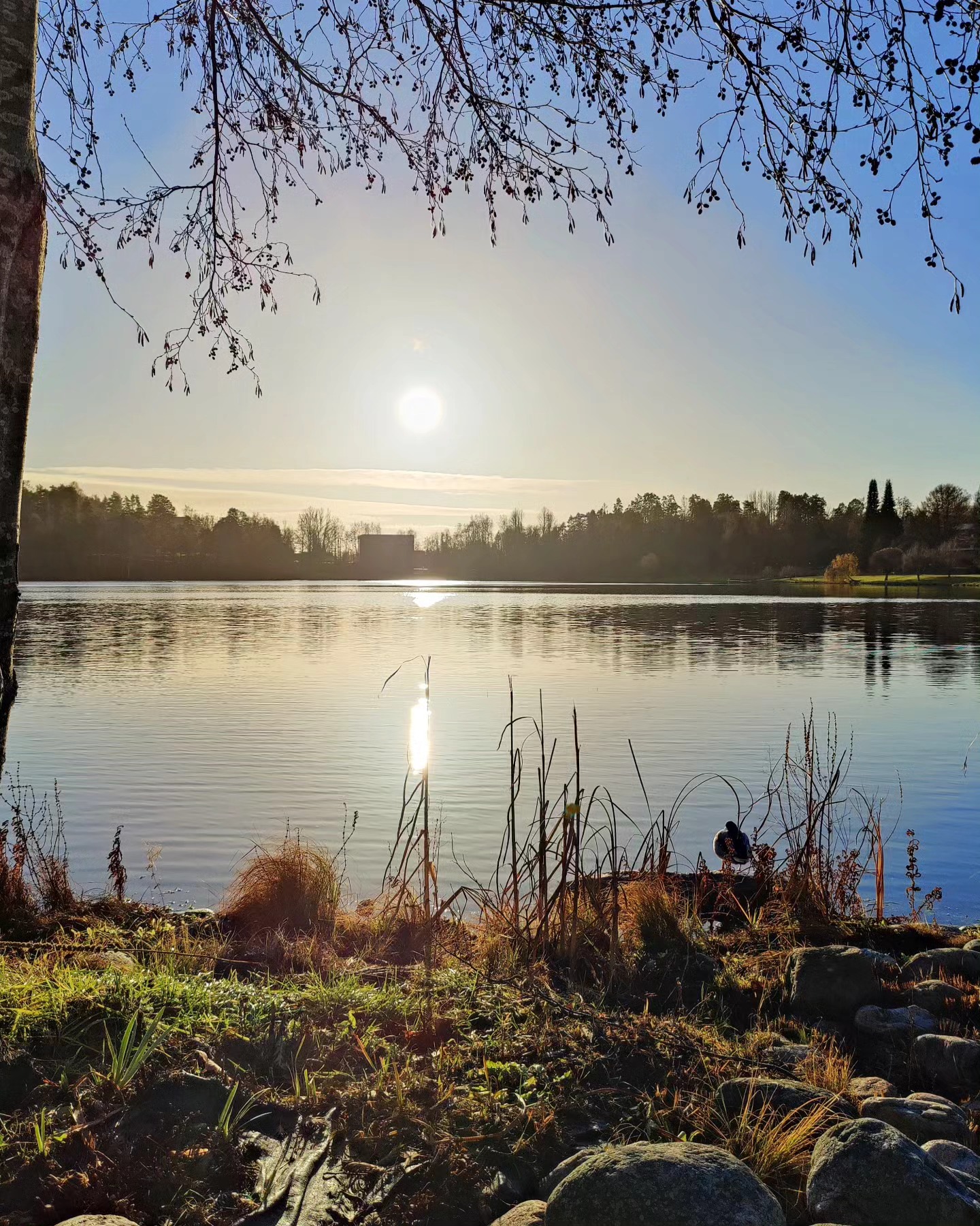 Artikkelin kuva