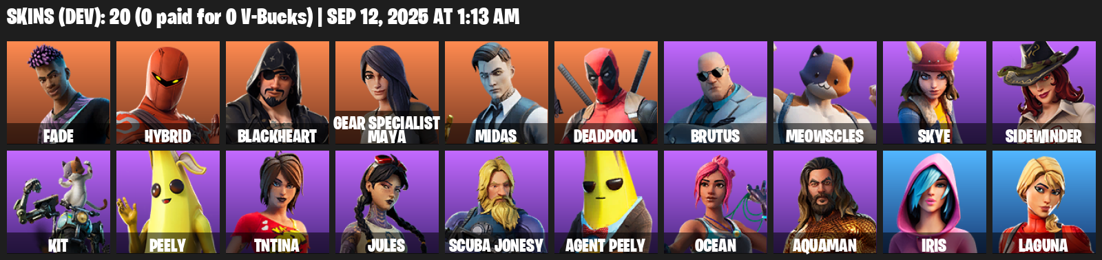 Fortnite Account ( PLAYSTATION / XBOX / PC / MOBILE / NINTENDO ) (Fade, Hybrid, Blackheart, Gear Specialist Maya, Midas, Deadpool, Brutus, Meowscles, Skye) (20 Skins)