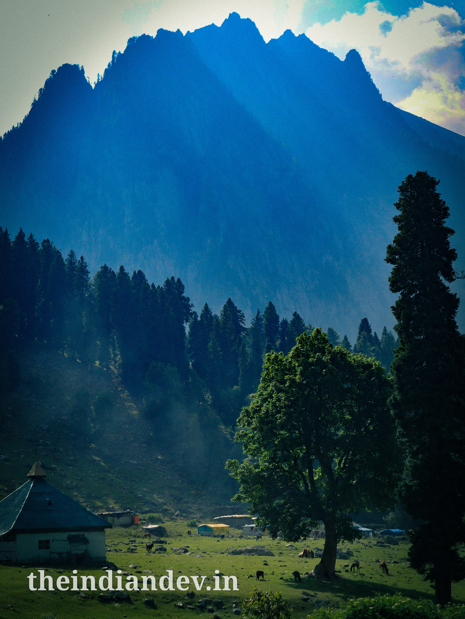 A singular house and horses chweing grass in himalayas, Sonmarg Valley, Kashmir,
India